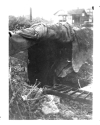 Photo Album Page 5, Photo B "Text from opposite page: -CIVILIZATION SCRATCHING BOTTOM"View No. 1.  (a) The home of a Twentieth Century unemployed worker built from a discarded garbage truck body.  Note the hole which permits him, rat-like, to crawl into his hovel."View No. 3 (b)  The "home" of Jessie Thomas, unemployed Ford worker, consisting of a brush-covered hole, which is his only means of shelter from the rain and snow.  This picture and the story behind it is a fitting monument to the great humanitarian, the enlightened capitalist, Henry Ford, who has deceived the public into believing that he protects his employees against poverty.  The poverty of Jessie Thomas and his family and millions of other families which they typify form the foundation upon which great private industrial empires are built.-Like hibernating ground-hogs, these people crawl into their winter holes;  but alas, cruel nature has biologically incapacitated them for hibernation -- they must eat.  A nearby city garage disposal plant is a source of food.  Here by digging around in the garbage trucks as they come in, they eagerly search for enough food to keep alive the spark of life within them."O GOD!  THAT BREAD SHOULD BE SO DEAR, AND FLESH AND BLOOD SO CHEAP!" 
